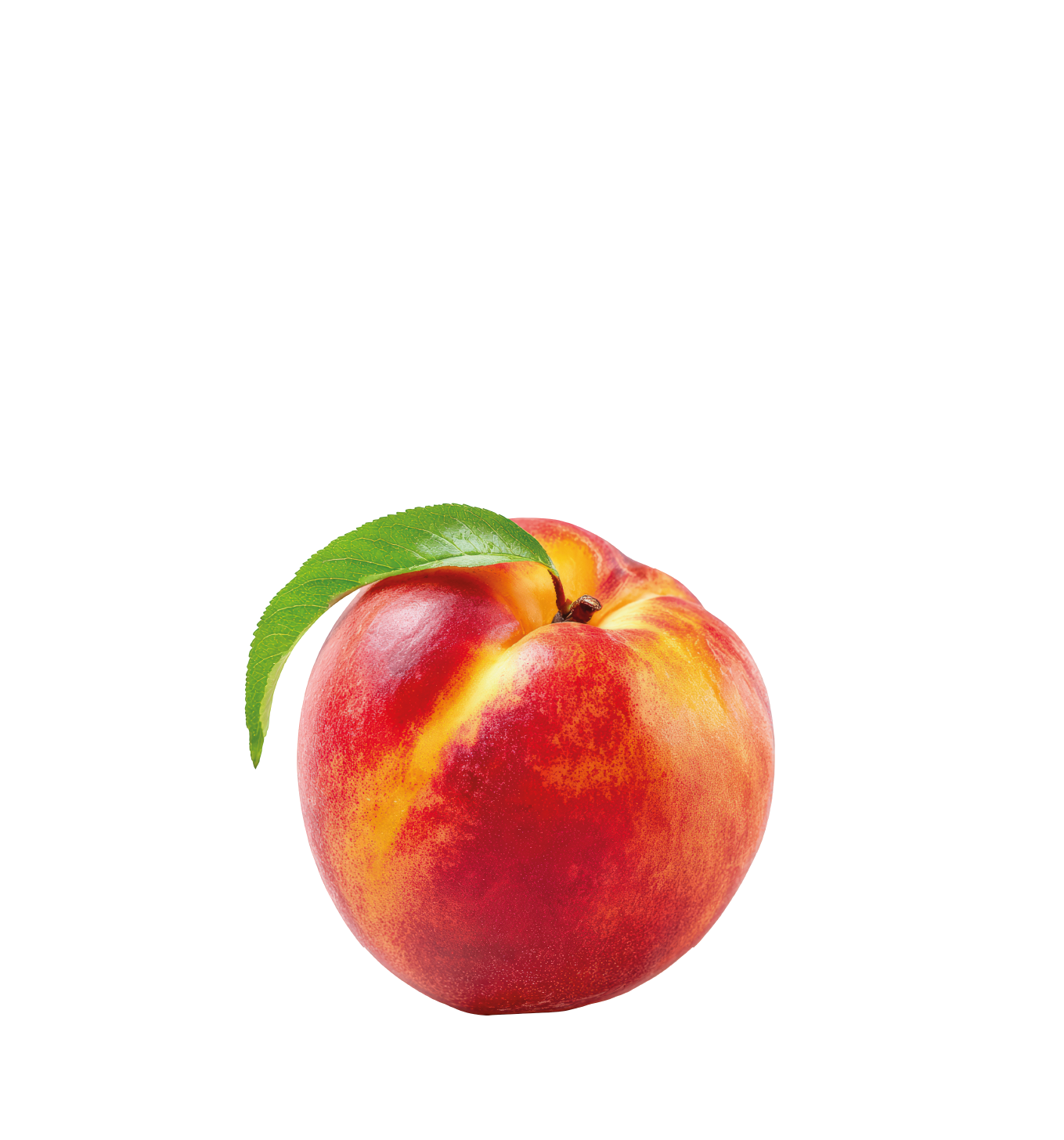 nectarine - fruitmenu - FRUIT OP JE WERK
