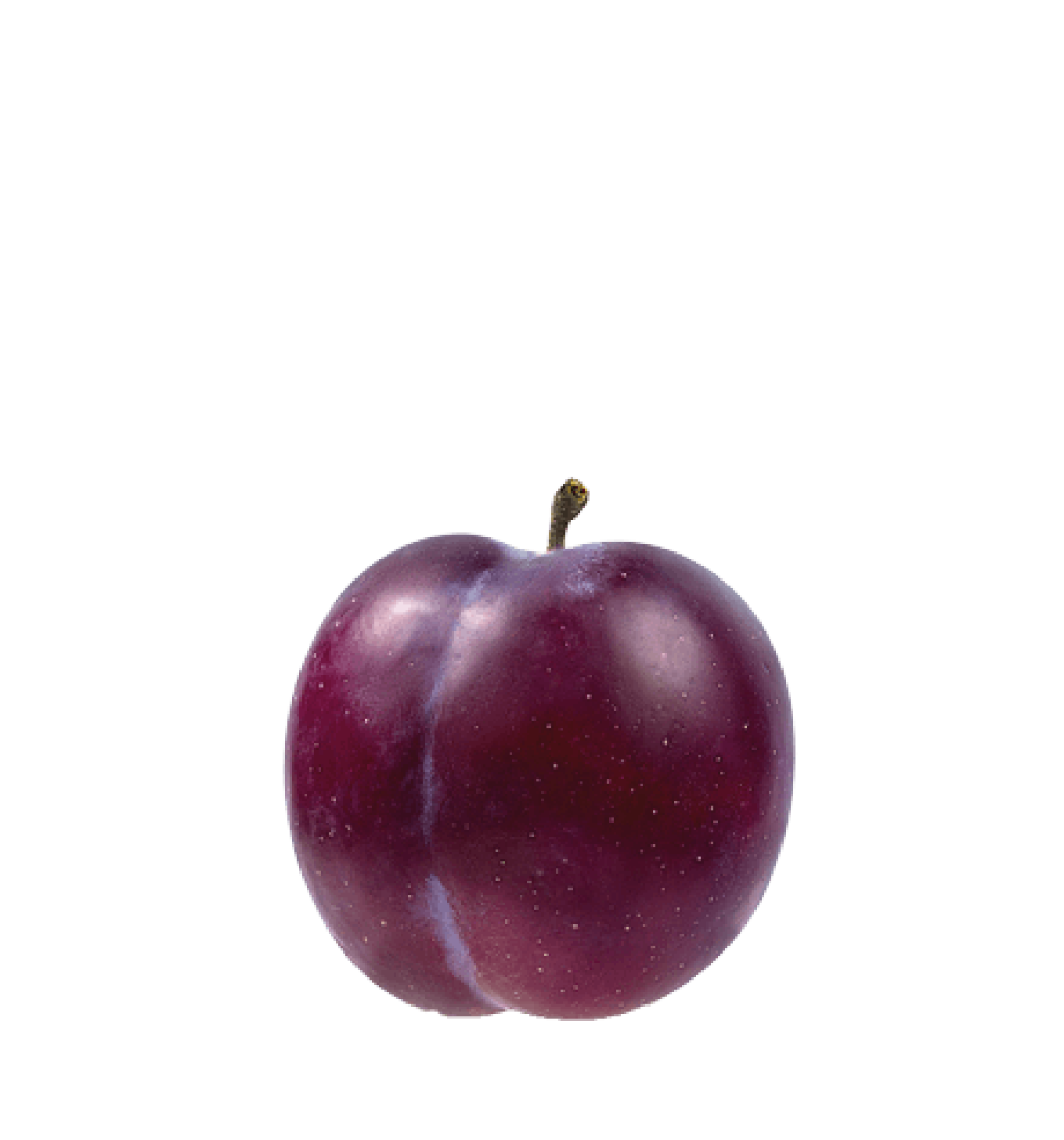 nectarine - fruitmenu - FRUIT OP JE WERK