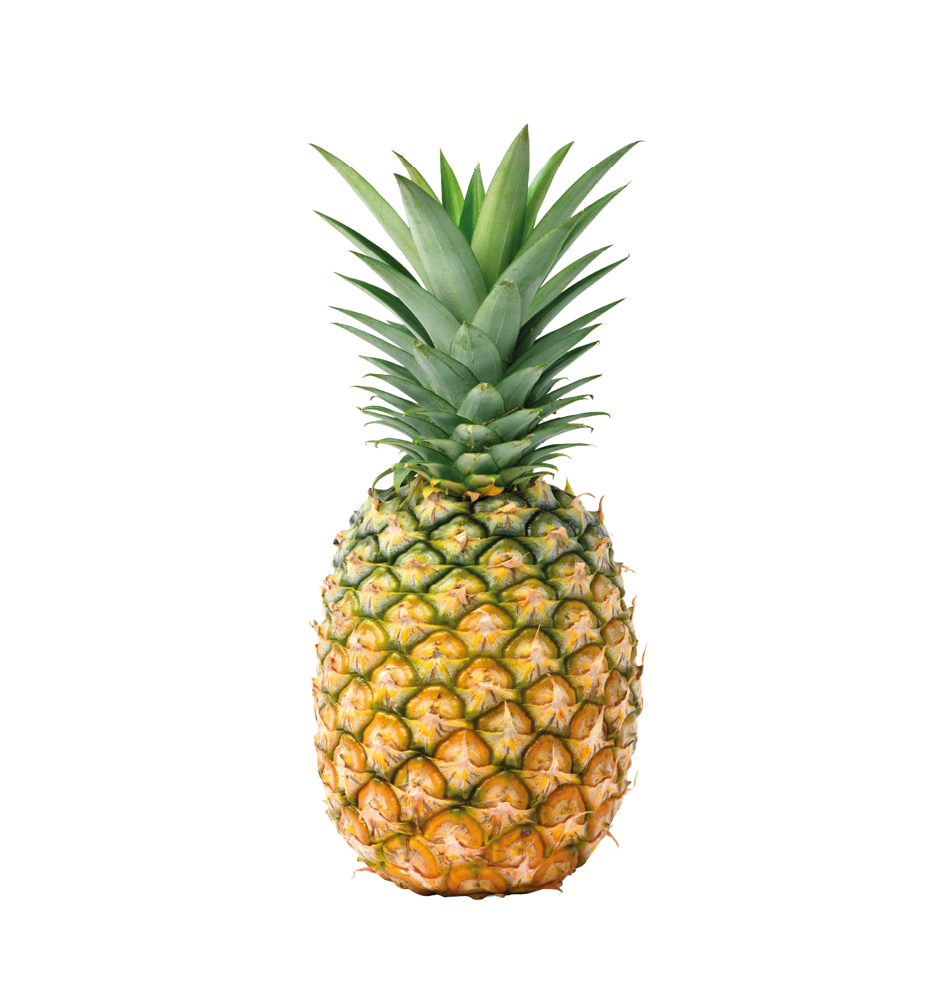 ananas - fruitmenu - FRUIT OP JE WERK